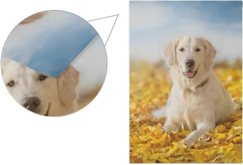 Miniatura 3 de Hokkien Bandera de jardín de perro Golden Retriever de otoño de doble cara de 12 x 18 pulgadas, banderas decorativas de jardín pequeñas, decoración