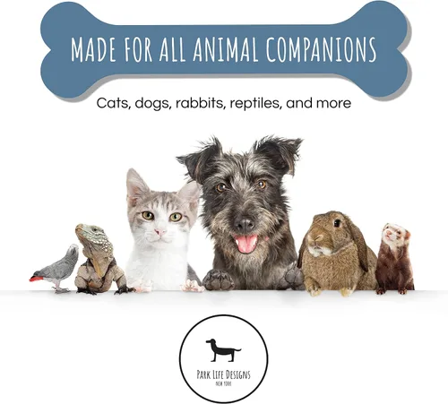 Miniatura 7 de Park Life - Cuencos de cerámica para mascotas, cuencos para alimentos y agua para perros y gatos, lindo cuenco para mascotas para perros y gatos Gris