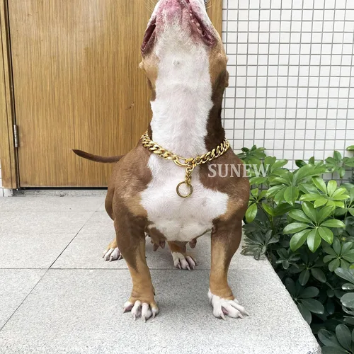 Miniatura 5 de Cierres de langosta fuertes ajustables para perros, collar de titanio, para entrenamiento, caminar, de metal, a prueba de masticación, para perros
