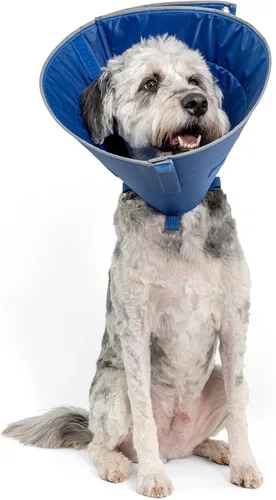 Miniatura 10 de Calm Paws Collar para el cuidado del perro con calmante (XS)