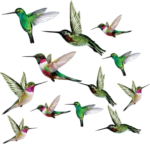 12 adhesivos para ventanas de colibrí para seguridad de vidrio en ventanas, puertas y paneles transparentes. Calcomanías de ventana para evitar
