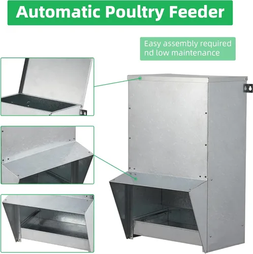 Miniatura 6 de Comedero para pollos CTF-50BL1 MAX, 50Bls