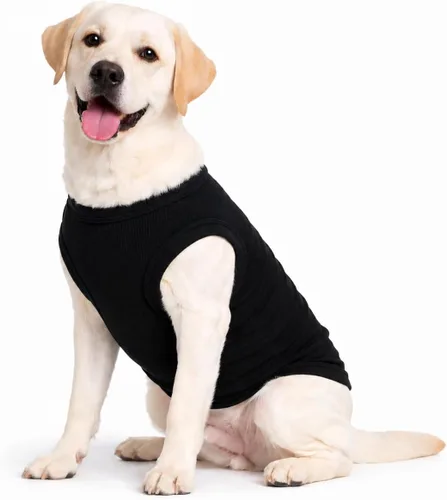 Miniatura 10 de Lovelonglong Ropa para mascotas de verano 2019, ropa para perro, camisetas en blanco, camisetas acanaladas, chalecos de hilo superior para perros