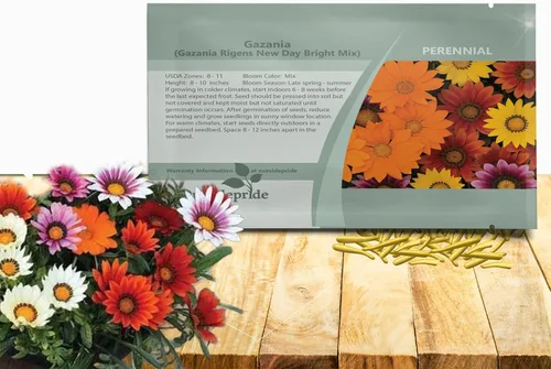 Outsidepride New Day Bright - Semillas mixtas de Gazania para plantar, 25 piezas de semillas perennes, de bajo mantenimiento, tolerantes a la sequía