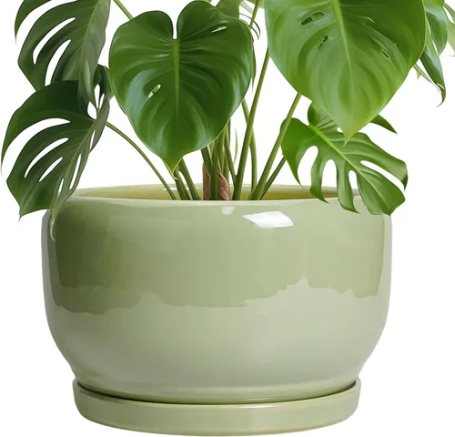 Miniatura 35 de SQOWL Macetas de cerámica – Maceta de 6 pulgadas con orificio de drenaje y bandeja, maceta redonda para plantas de interior, maceta decorativa