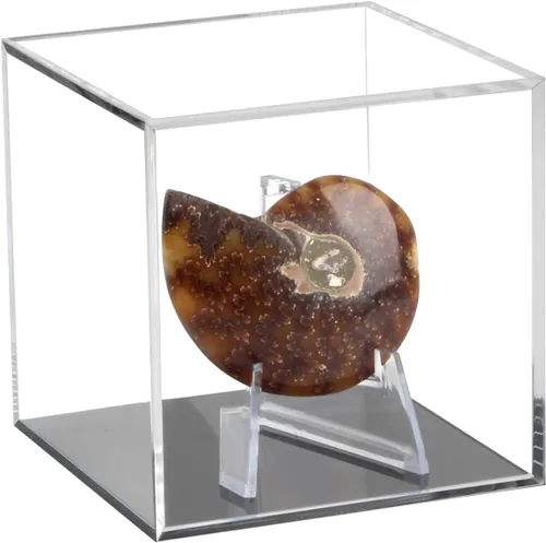 Caja de exhibición de recuerdos de acrílico transparente, caja de soporte de exhibición de caballete de acrílico y soporte para relojes, cápsulas,