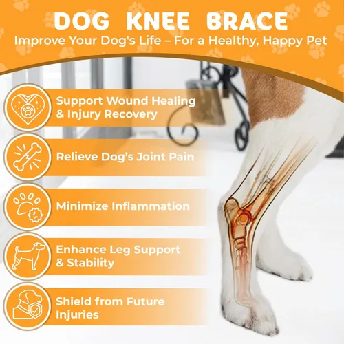 Miniatura 5 de Rodillera para perro para luxación de rótula, ligamento cruzado anterior o ligamento cruzado, osteoartritis, displasia de cadera o alivio del dolor