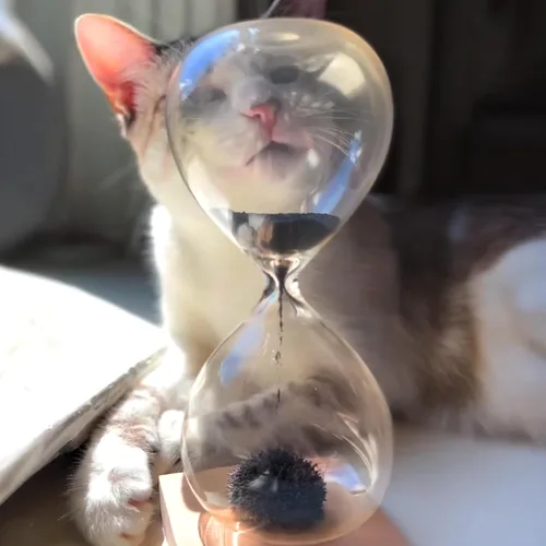Miniatura 3 de Reloj magnético Kikkerland
