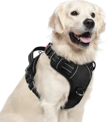 Miniatura 45 de rabbitgoo Arnés para perro de tamaño pequeño, chaleco para perro sin tirones con 3 hebillas, arnés ajustable y acolchado suave para mascotas con asa