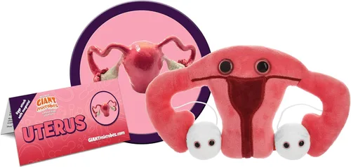 Miniatura 2 de GIANT MICROBES Juguete de peluche de útero, regalos de histerectomía, conciencia de endometriosis, regalos feministas, regalo de fertilidad, regalo