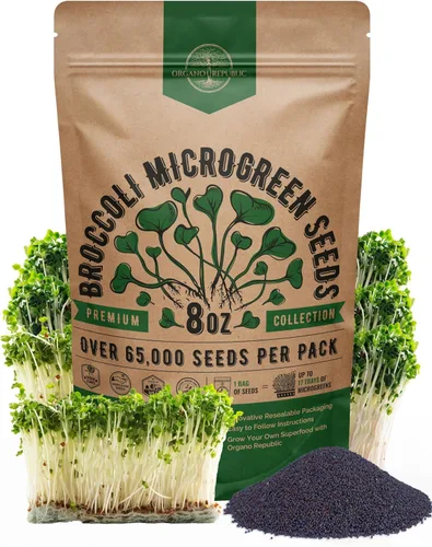 Miniatura 12 de Organo Republic Semillas de germinación de rúcula y microgreens – 55,000 semillas de reliquia sin OMG, brotes en bolsa resellable de 4 onzas