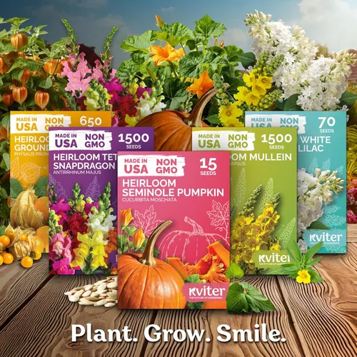 Miniatura 7 de KVITER 500 semillas de caléndula Cracker Jack (Tagetes Erecta) – Caléndula africana, flor gigante, semillas de reliquia sin OMG – Semillas de flores