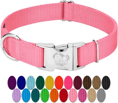 Country Brook Petz – Collar de nailon premium para perro con hebilla de metal para razas pequeñas, medianas y grandes - Más de 10 colores cálidos