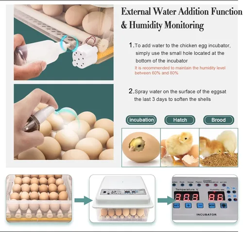 Miniatura 5 de Incubadoras para incubar huevos, incubadora de huevos con giro automático de huevos y control de humedad, incubadora de huevos para huevos