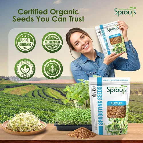 Miniatura 7 de Nature Jims Sprouts Semillas de alfalfa – Kit de cultivo de brotes orgánicos sin OMG para plantar – Bolsa resellable premium para semillas frescas
