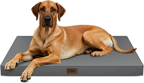 Miniatura 117 de Cama ortopédica de felpa para perros y cachorros medianos, camas impermeables para perros de 30 x 20 pulgadas con funda extraíble lavable, tapete