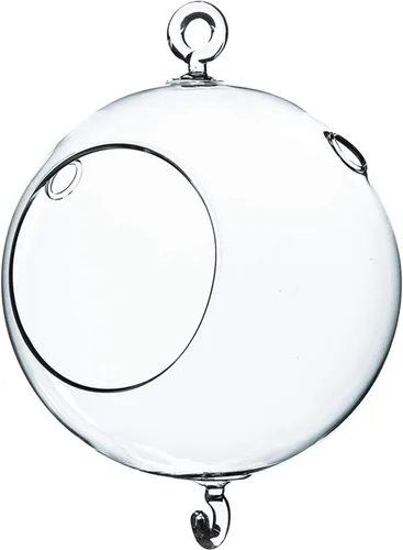 Miniatura 18 de WGV Globo de terrario colgante, ancho 5 pulgadas, altura 6 pulgadas, maceta de aire para suculentas, florero de vidrio transparente con parte