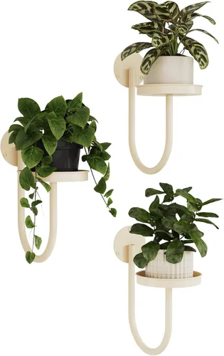 Miniatura 11 de Bamworld Macetas colgantes para plantas de interior, soporte para plantas de pared, colgador de plantas, macetas de pared para interiores, estantes