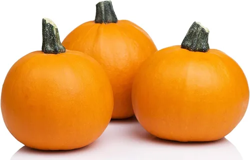 Miniatura 4 de 75 semillas de calabaza – Pastel de azúcar – reliquia – Sin OMG – Semillas siempre frescas – Semillas de siembra para huerto doméstico