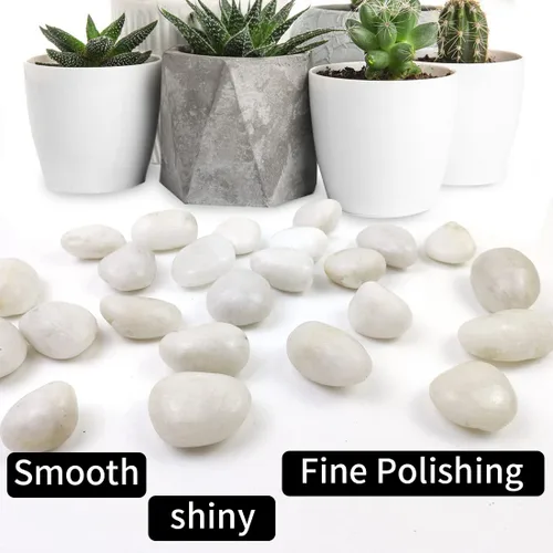 Miniatura 3 de Rocas blancas de río de 20 libras, guijarros pulidos de 1-2.2 pulgadas para plantas, piedras decorativas para paisajismo. Suculentas, manualidades
