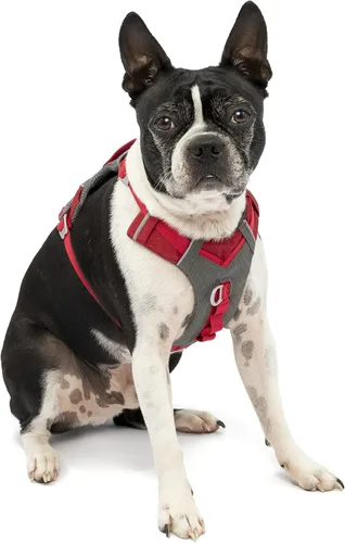 Miniatura 12 de Arnés para perro Kurgo Journey Air - Ajuste seguro para perros activos - Pecho acolchado - Tela Ripstop ligera - Malla transpirable - Borde Rojo