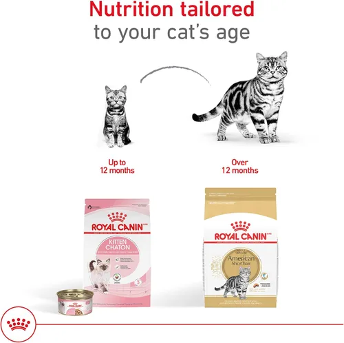 Miniatura 6 de Royal Canin Feline Breed Nutrition American Shorthair - Alimento seco para gatos adultos, bolsa de 5.5 libras
