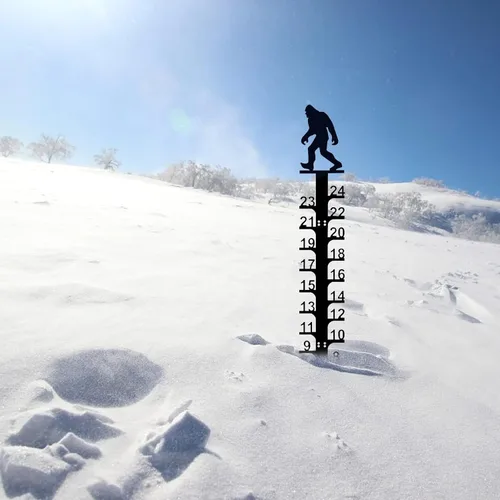 Miniatura 9 de LiveGo Iron Art - Medidor de nieve de 24 pulgadas, medidor de medición para exteriores, palo de medición de nieve desmontable de metal, estacas