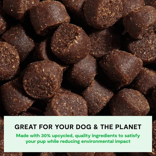 Miniatura 3 de Open Farm, Be Good Bites, golosinas suaves para entrenamiento de perros, pequeñas y masticables, hechas con ingredientes de origen ético