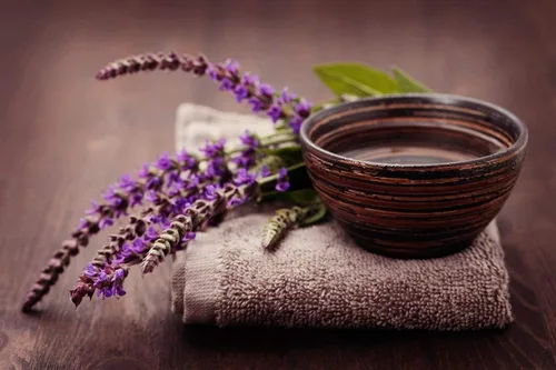 Miniatura 4 de Salvia de jardín (Salvia Officinalis) Hierbas sin OMG para plantar