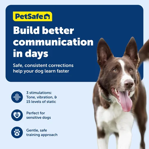 Miniatura 4 de PetSafe - Collar de entrenamiento remoto para perros – tono, vibración, 15 niveles de estimulación estática, estándar de 8 lb+ o Little Dog Lite