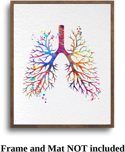 Miniatura 7 de Dignovel Studios 8X10 sin marco pulmonar anatomía humana acuarela arte impresión cartel ciencia médica inauguración casa giclée oficina decoración