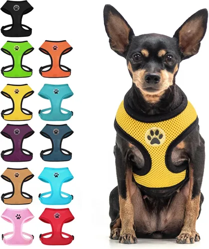 Miniatura 17 de BINGPET Arnés para perro sin tirones, arnés de chaleco tipo step-in de malla para todo clima para perros pequeños, arnés de malla transpirable