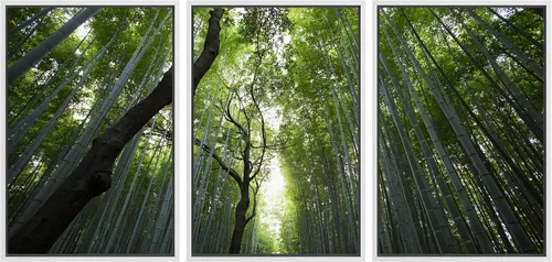 Miniatura 140 de wall26 Lienzo enmarcado para pared, juego de arte debajo de los tallos de bambú verde, naturaleza, desierto, fotografía, realismo, contemporáneo