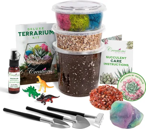 Creations by Nathalie – Kit premium pequeño de terrario DIY para suculentas, cactus y plantas de aire, incluye tierra, musgo, piedras, herramientas,