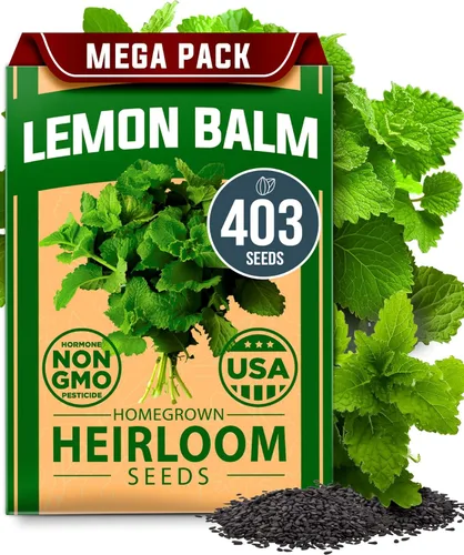 Miniatura 118 de HOME GROWN Mezcla de semillas germinantes de primera calidad, microgreens 118,200 semillas para cultivo en interiores, brócoli, alfalfa, rábano