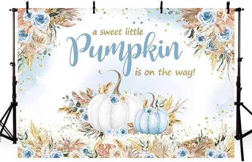 Miniatura 2 de MEHOFOND Telón de fondo bohemio de otoño para baby shower, de 7 x 5 pies, una calabaza dulce está en camino, fondo de calabaza para niños, acuarela