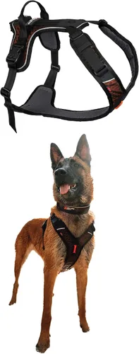 Non-stop dogwear Rock Arnés ajustable para perros pequeños con 3 clips para correa, asa y reflectante, negro/naranja, talla XS