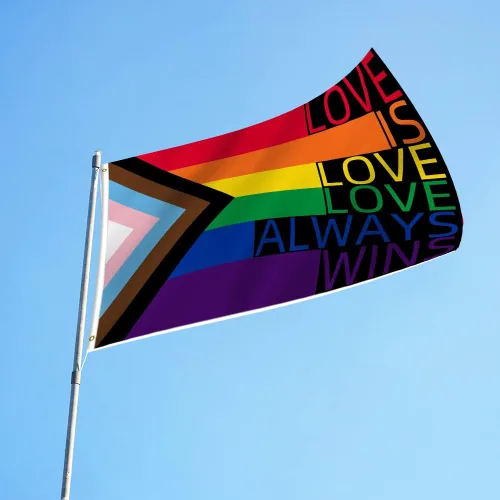 Miniatura 7 de ChillOutPal Bandera del orgullo del progreso de 3 x 5 pies, LGBTQIA+ bandera de jardín impermeable de poliéster con colores vibrantes para desfiles