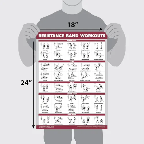 Miniatura 2 de Palace Learning QUICKFIT - Póster de ejercicios de entrenamiento con bandas de resistencia, doble cara (laminado, 18 x 24 pulgadas)