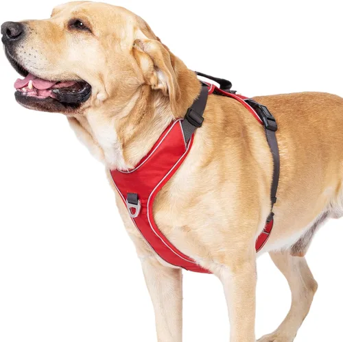 Miniatura 12 de Arnés para perro sin tirones con 2 clips para correa, chaleco reflectante, ajustable y acolchado, clips delanteros y traseros fáciles de caminar