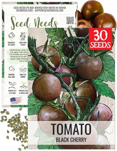 Seed Needs Semillas de tomate cereza negra para plantar, reliquia sin OMG y sin tratar, variedad indeterminada para plantar un huerto al aire libre