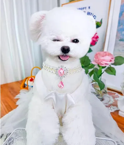 Miniatura 3 de Collar de perlas de 2 filas para gatos, collar de perlas para perros, collares de diamantes de imitación para perros pequeños, accesorios de collar