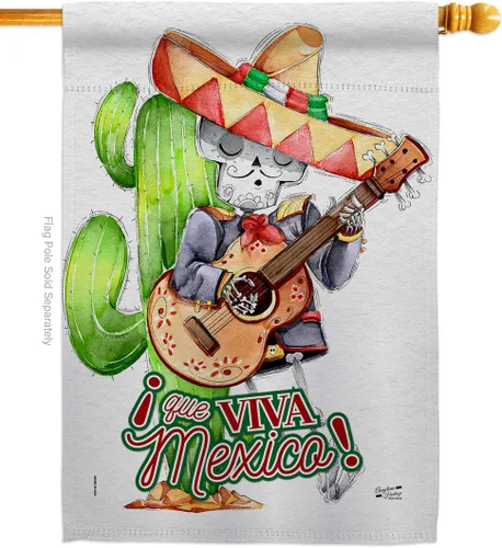 Que Viva - Bandera de casa de México, fiesta de verano del Cinco de Mayo, cactus y piñata, sombrero para fiesta mexicana al aire libre, pancarta