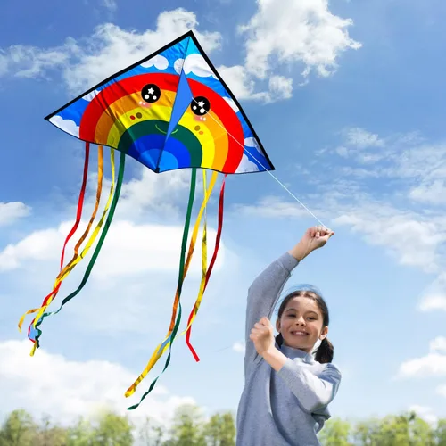 Miniatura 3 de HONBO Cometa Delta grande para niños y adultos, extremadamente fácil de volar para viajes a la playa, línea de cuerda incluida, con cola colorida