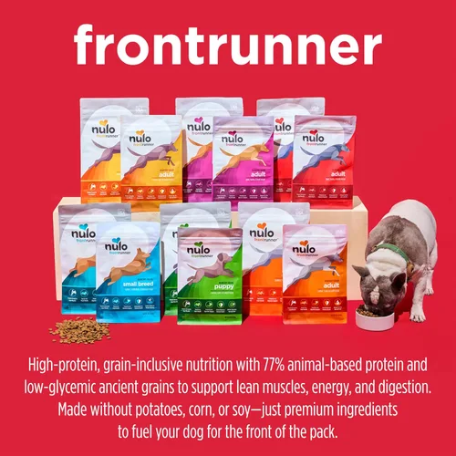 Miniatura 7 de Nulo Frontrunner Ancient Grains - Alimento para perros de raza pequeña con alto contenido de proteínas, receta de pavo, pescado blanco y quinua