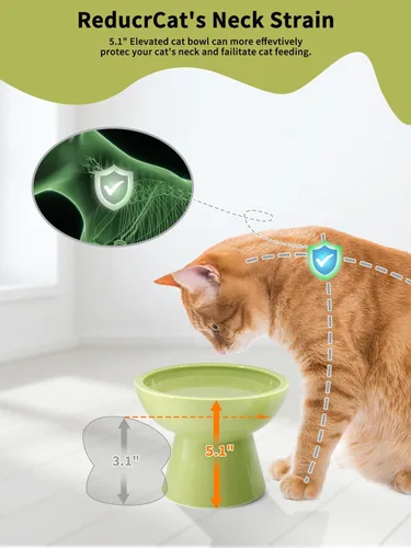 Miniatura 3 de LoeJan Juego de cuencos elevados de comida y agua para gatos, comedero de cerámica extra ancho y elevado, cuenco de alimentación a presión Verde
