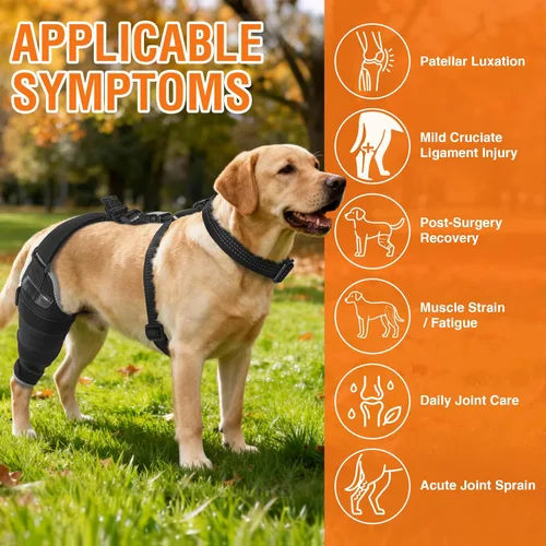 Miniatura 2 de Perro ACL Brace pata trasera – Soporte de pierna trasera ajustable transpirable con gel de compresión caliente/frío para artritis, hinchazón