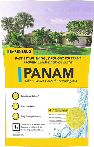 Miniatura 8 de PanAm Bermudagrass Mezcla de semillas de césped con revestimiento de semillas de chaqueta amarilla, mezcla de semillas de césped duradera de acción