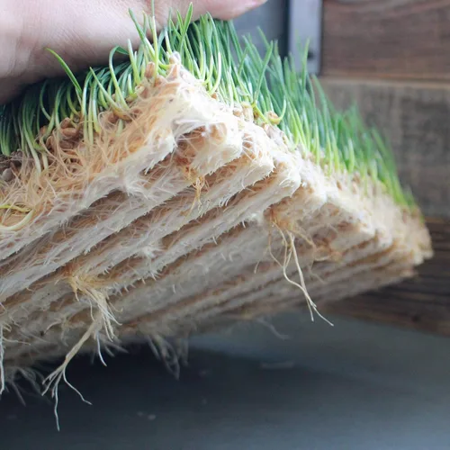 Miniatura 6 de Handy Pantry Pro Micro Jute Microgreens - Alfombrillas de cultivo de 10 x 20 pulgadas para bandejas de cultivo 1020 – Paquete de 10 almohadillas