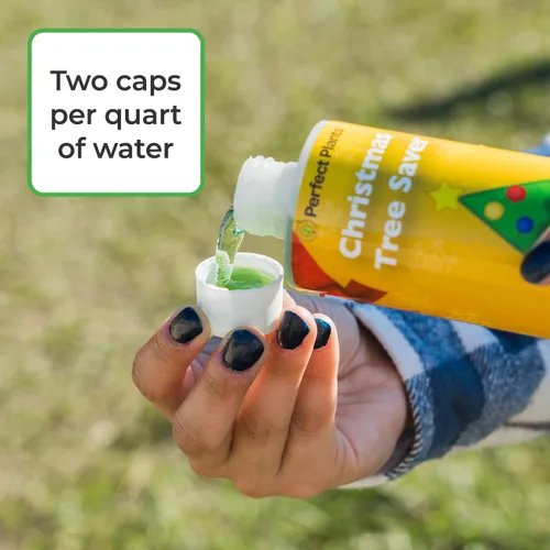 Miniatura 5 de Perfect Plants Conservador de Árbol de Navidad 8oz. Alimento Conservador de Árboles de Navidad Fácil de Usar Ten Árboles de Navidad Verdes